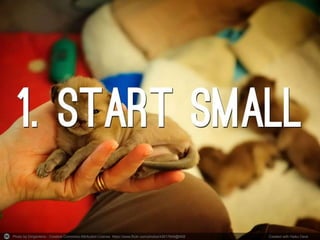 Photo by Dirigentens - Creative Commons Attribution License https://www.flickr.com/photos/43917849@N08 Created with Haiku Deck
 