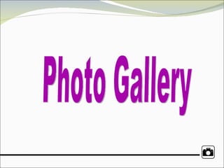 Photo Gallery 