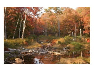 L inda  S .  H unter 