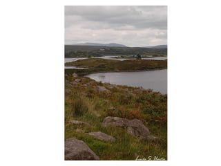 L inda  S .  H unter 