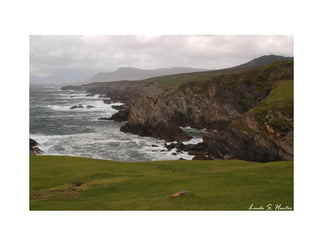 L inda  S .  H unter 