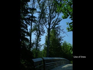 Use of lines 