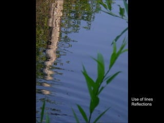 Use of lines Reflections 