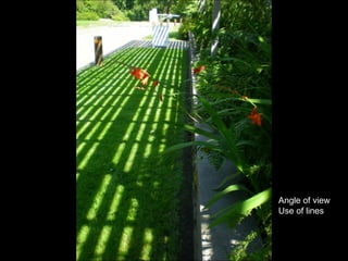 Angle of view Use of lines 