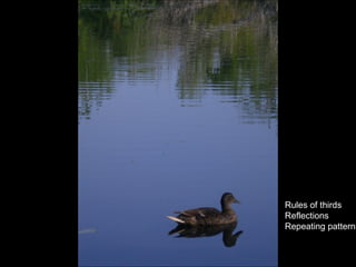 Rules of thirds Reflections Repeating patterns 