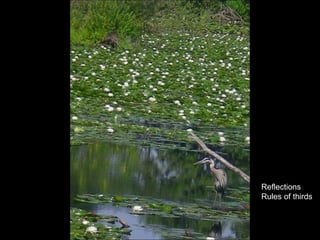 Reflections Rules of thirds 