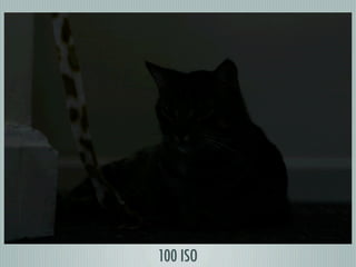 100 ISO
 