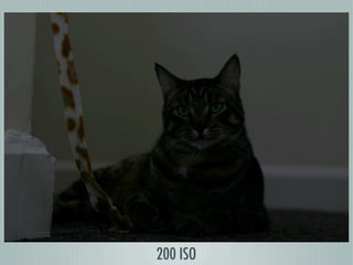 200 ISO
 