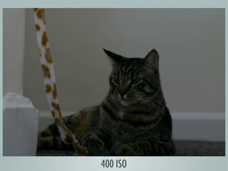 400 ISO
 