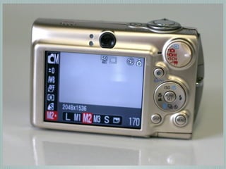 Digital Photography basics