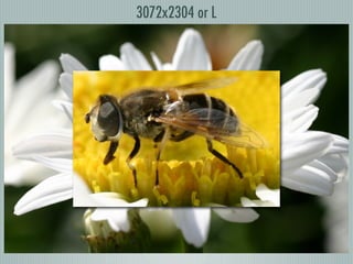 Digital Photography basics