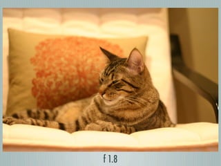 Digital Photography basics