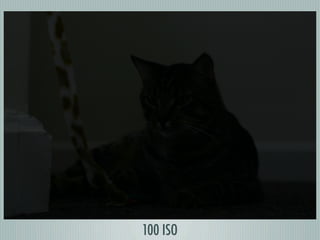 Digital Photography basics