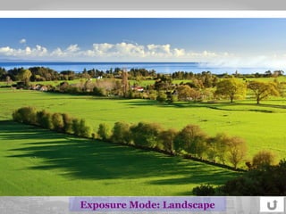 Exposure Mode: Landscape 
 