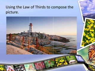Using the Law of Thirds to compose the
picture.
 