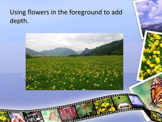 Using flowers in the foreground to add
depth.
 