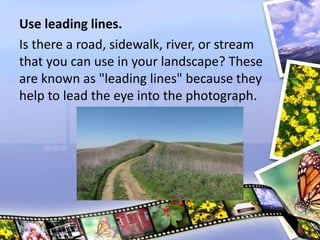 Use leading lines.
Is there a road, sidewalk, river, or stream
that you can use in your landscape? These
are known as "leading lines" because they
help to lead the eye into the photograph.
 