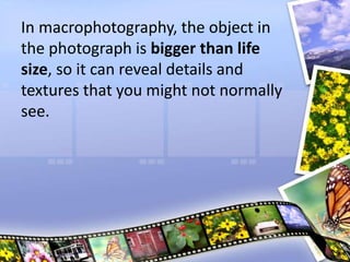 In macrophotography, the object in
the photograph is bigger than life
size, so it can reveal details and
textures that you might not normally
see.
 