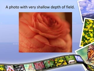 A photo with very shallow depth of field.
 