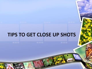 TIPS TO GET CLOSE UP SHOTS
 