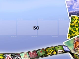 ISO
 
