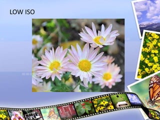 LOW ISO
 