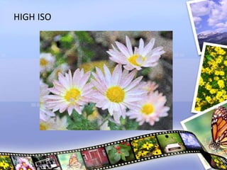 HIGH ISO
 
