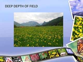 DEEP DEPTH OF FIELD
 