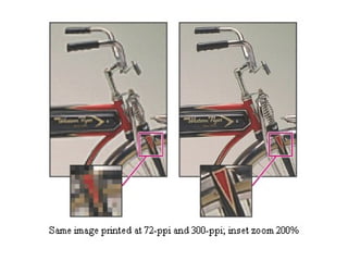 Cropping at Different Resolutions 