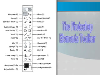 The Photoshop  Elements Toolbar 