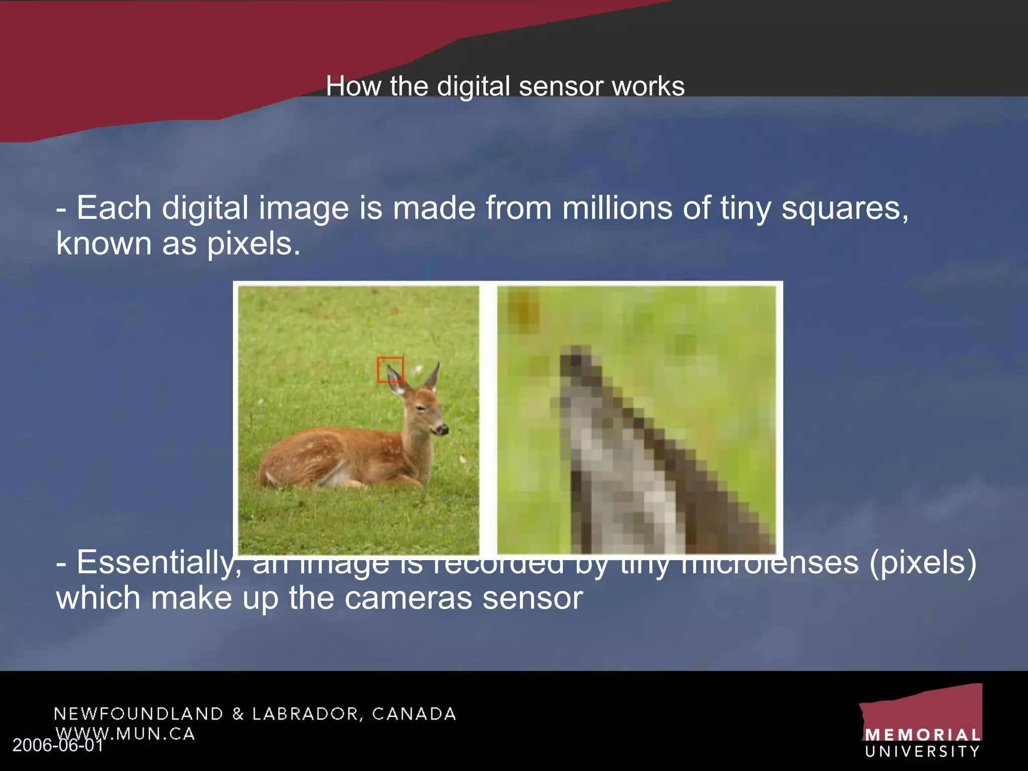 How the digital sensor works - Each digital image is made from millions of tiny squares, known as pixels. - Essentially, an image is recorded by tiny microlenses (pixels) which make up the cameras sensor  - 2006-06-01 