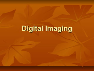 Digital Imaging
 
