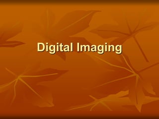 Digital Imaging
 