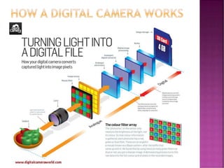Digital photography basics