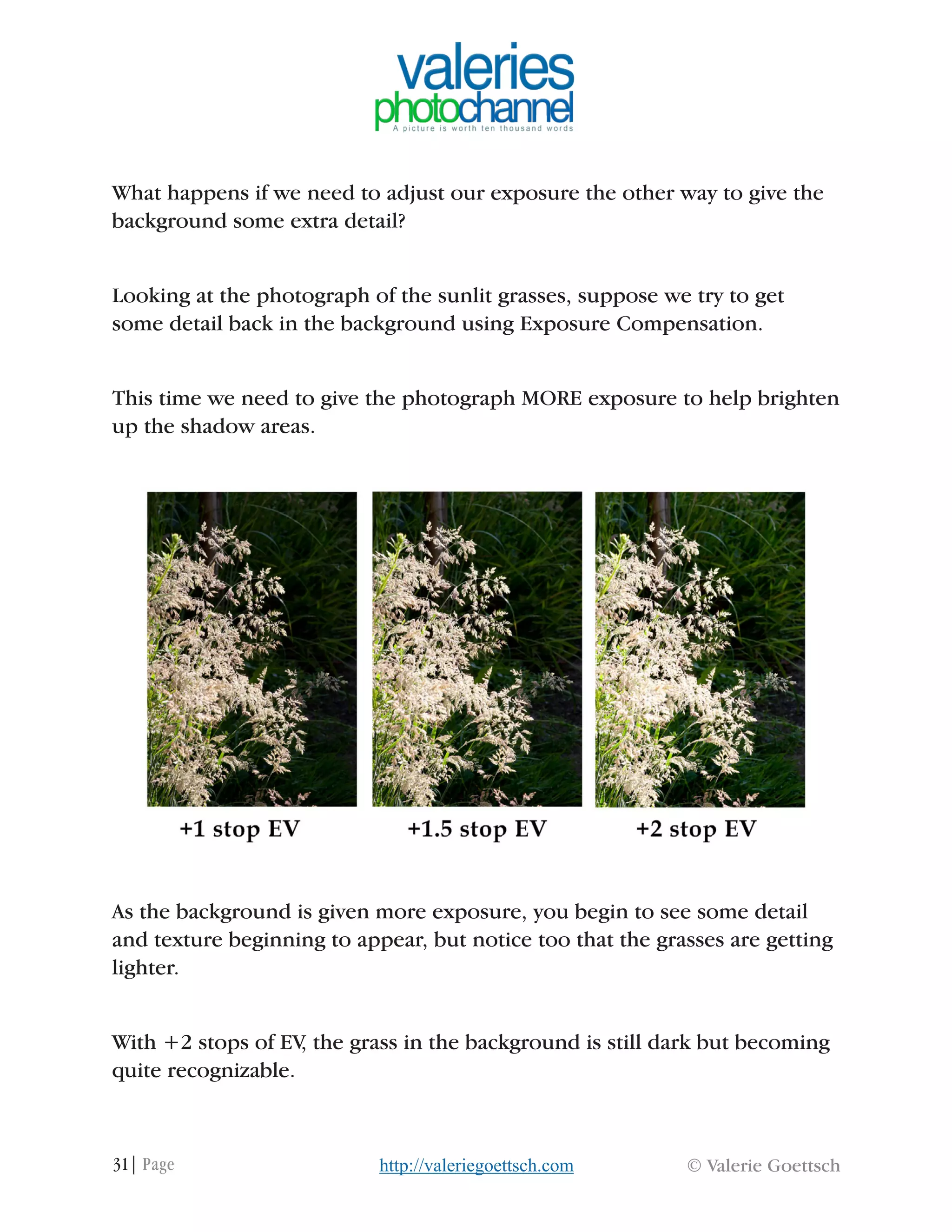 31| Page © Valerie Goettschhttp://valeriegoettsch.com
What happens if we need to adjust our exposure the other way to give the
background some extra detail?
Looking at the photograph of the sunlit grasses, suppose we try to get
some detail back in the background using Exposure Compensation.
This time we need to give the photograph MORE exposure to help brighten
up the shadow areas.
As the background is given more exposure, you begin to see some detail
and texture beginning to appear, but notice too that the grasses are getting
lighter.
With +2 stops of EV, the grass in the background is still dark but becoming
quite recognizable.
 