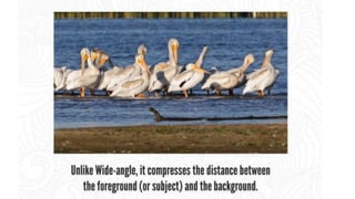 Digital photography Complete Course