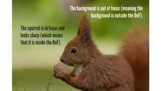 Digital photography Complete Course