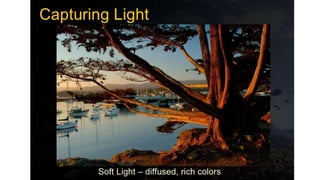 Digital photography Complete Course