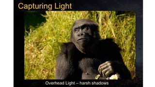 Digital photography Complete Course