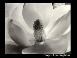 View of Digital Photography Composition- Part II | PPT