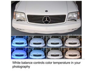 White balance controls color temperature in your photography 