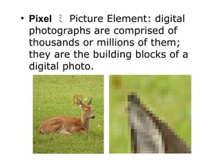 Pixel   ﾐ  Picture Element: digital photographs are comprised of thousands or millions of them; they are the building blocks of a digital photo. 