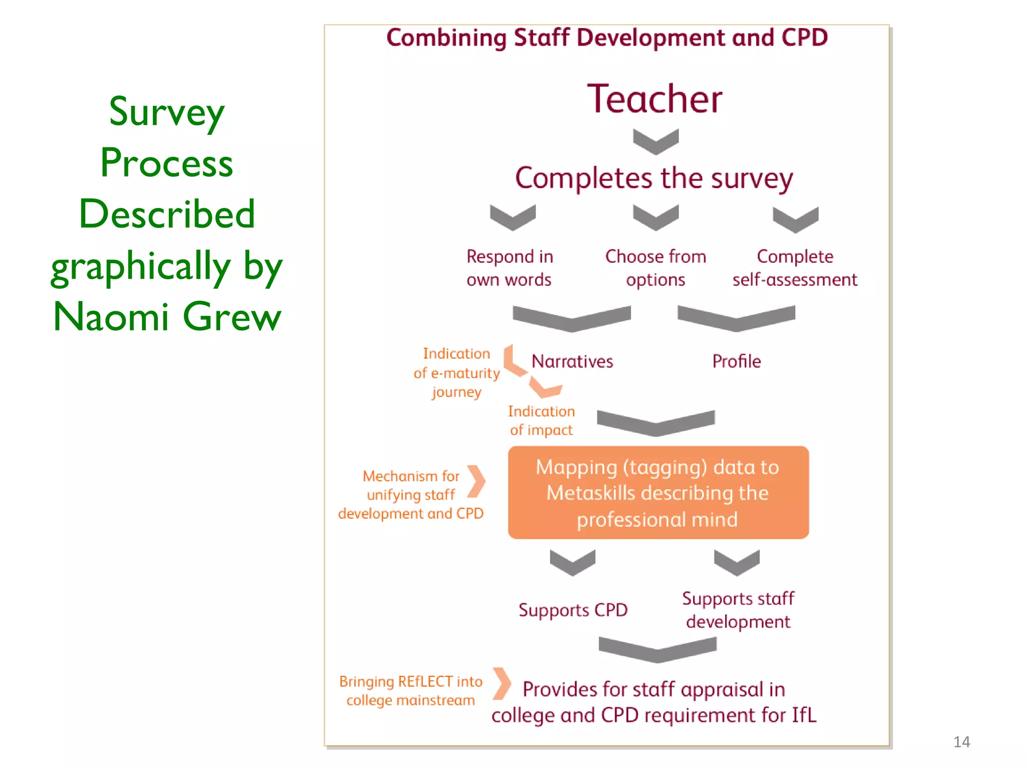 Survey Process Described graphically by Naomi Grew 