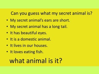 Can you guess what my secret animal is?
•   My secret animal’s ears are short.
•   My secret animal has a long tail.
•   It has beautiful eyes.
•   It is a domestic animal.
•   It lives in our houses.
•   It loves eating fish.

    what animal is it?
 