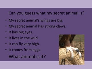 Can you guess what my secret animal is?
•   My secret animal’s wings are big.
•   My secret animal has strong claws.
•   It has big eyes.
•   It lives in the wild.
•   It can fly very high.
•   It comes from eggs.
    What animal is it?
 