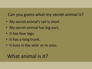 Can you guess what my secret animal is?
•   My secret animal’s tail is short.
•   My secret animal has big ears.
•   It has four legs.
•   It has a long trunk.
•   It lives in the wild or in zoos.

What animal is it?
 