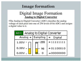 Image formation
 