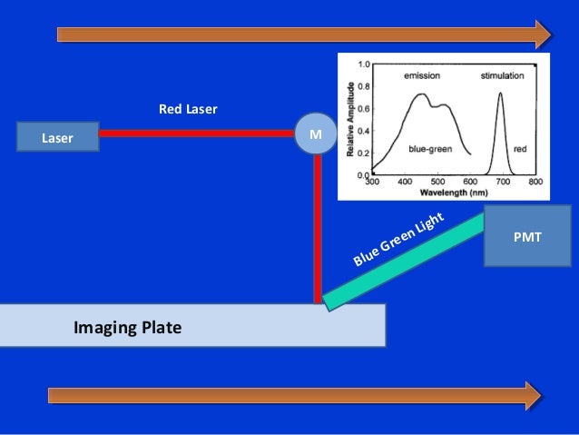 Digital radiography (2013)