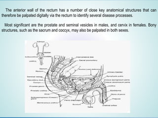 The anterior wall of the rectum has a number of close key anatomical structures that can
therefore be palpated digitally via the rectum to identify several disease processes.
Most significant are the prostate and seminal vesicles in males, and cervix in females. Bony
structures, such as the sacrum and coccyx, may also be palpated in both sexes.
 