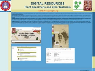 DIGITAL RESOURCES
Plant Specimens and other Materials
visit http://www.plants.jstor.org
Global Plants
The largest of its kind, Global Plants is a community-contributed database where worldwide herbaria can share their plant type specimens, experts can determine and update naming structures, students can discover and learn about plants in context, and a record of plant life
can be preserved for future generations.
About the Content: Global Plants contains the contributed collections of more than 300 herbaria from around the globe. Herbaria preserve plant type specimens that are used for the study of botany, ecology, and other plant science disciplines. Plant type specimens are in
great demand for scientific study because of their pivotal role as original vouchers of nomenclature. They also act as a historical record of changes in various flora.
There are nearly two million high-resolution type specimens currently in the Global Plants database, and this number will continue to grow. They have been hand-selected and meticulously digitized by partner herbaria with generous support from The Andrew W. Mellon
Foundation.
Researchers and students can also access reference works and primary sources—such as collectors’ correspondence and diaries, paintings, drawings, and photographs—contributed by partners. Highlights include reference works and books such as The Useful Plants of
West Tropical Africa and Flowering Plants of South Africa; illustrations from Curtis's Botanical Magazine; and Kew’s Directors' Correspondence comprising hand-written letters and memorandum from the senior staff of Kew from 1841 to 1928.
Access: Institutions can gain access to Global Plants through an annual access fee. Through this fee, we are able to sustain, maintain, and improve the database. To learn more, visit about.jstor.org/global-plants.
The National Herbarium was established in 1959 and began with a base of 6000 specimens collected by its first administrator, Dr. H. F. Mooney. Since its founding, the herbarium has always been a part of Addis Ababa University's Department of Biology. By 1980, the
herbarium contained approximately 16 000 specimens. In that year, the Swedish Agency for Research Cooperation with Developing Countries (SAREC) started supporting the Ethiopian Flora Project, and the National Herbarium research agenda became firmly established.
As a result, the number of collections has steadily increased and there are now about 85 000 collections housed in the National Herbarium, including approximately 400 type specimens from Ethiopia and Eritrea.
More info contact fishgeta@gmail.com
 
